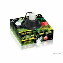 Exo Terra Glow Light Clamp Lamp, med 8.5"