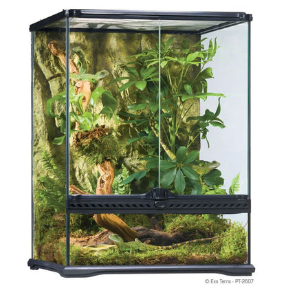 Exotic Habitat Full Setup For Crested Gecko