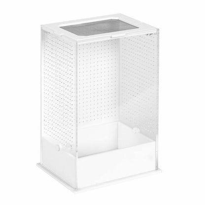 RZ White Base Insect Acrylic Box