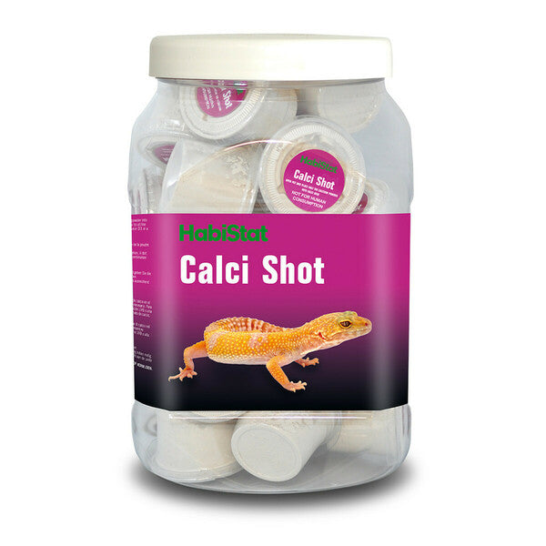CALCI SHOT (Single)